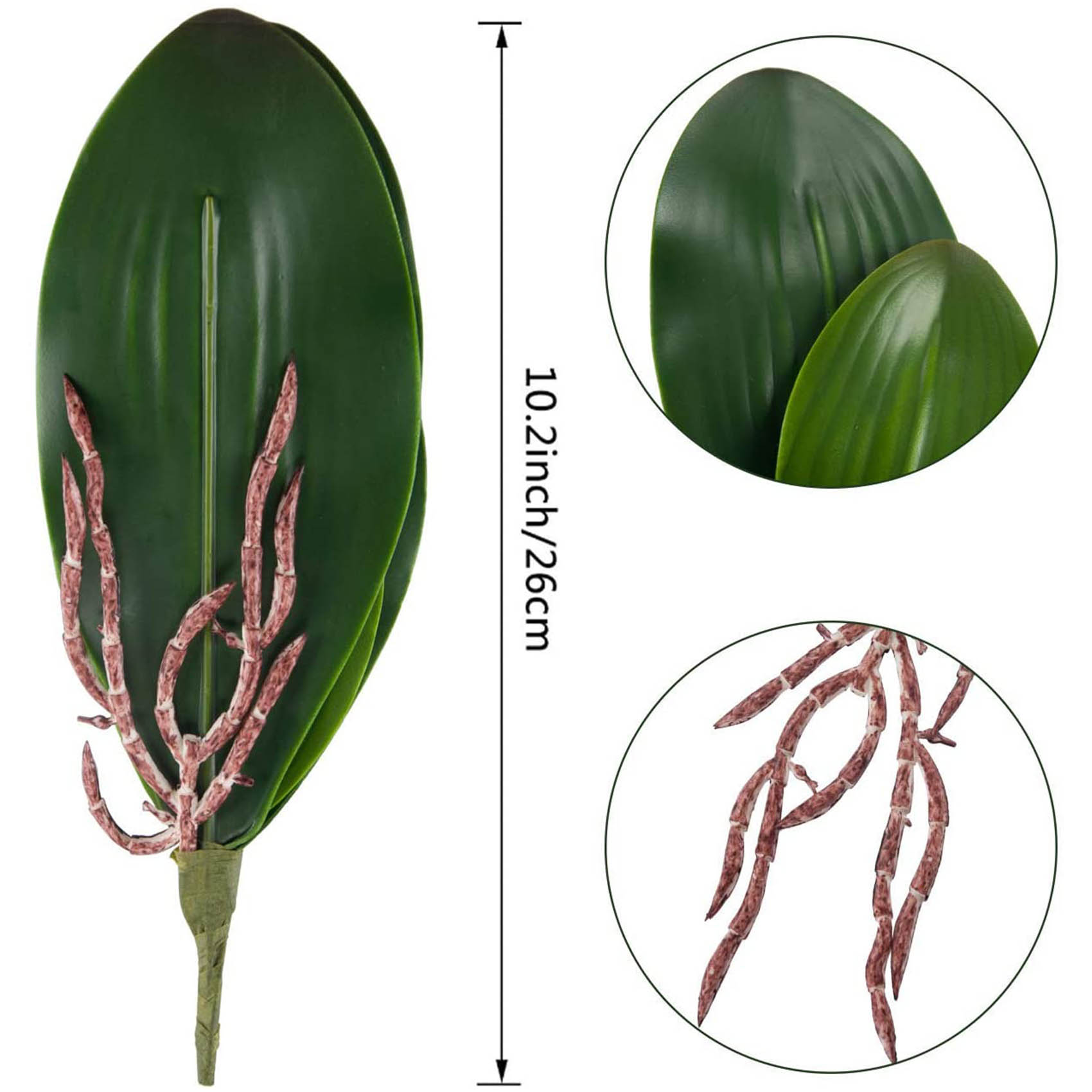 Orchid Phalaenopsis - Phalaenopsis Orchids Leaves Artificial Real Looking