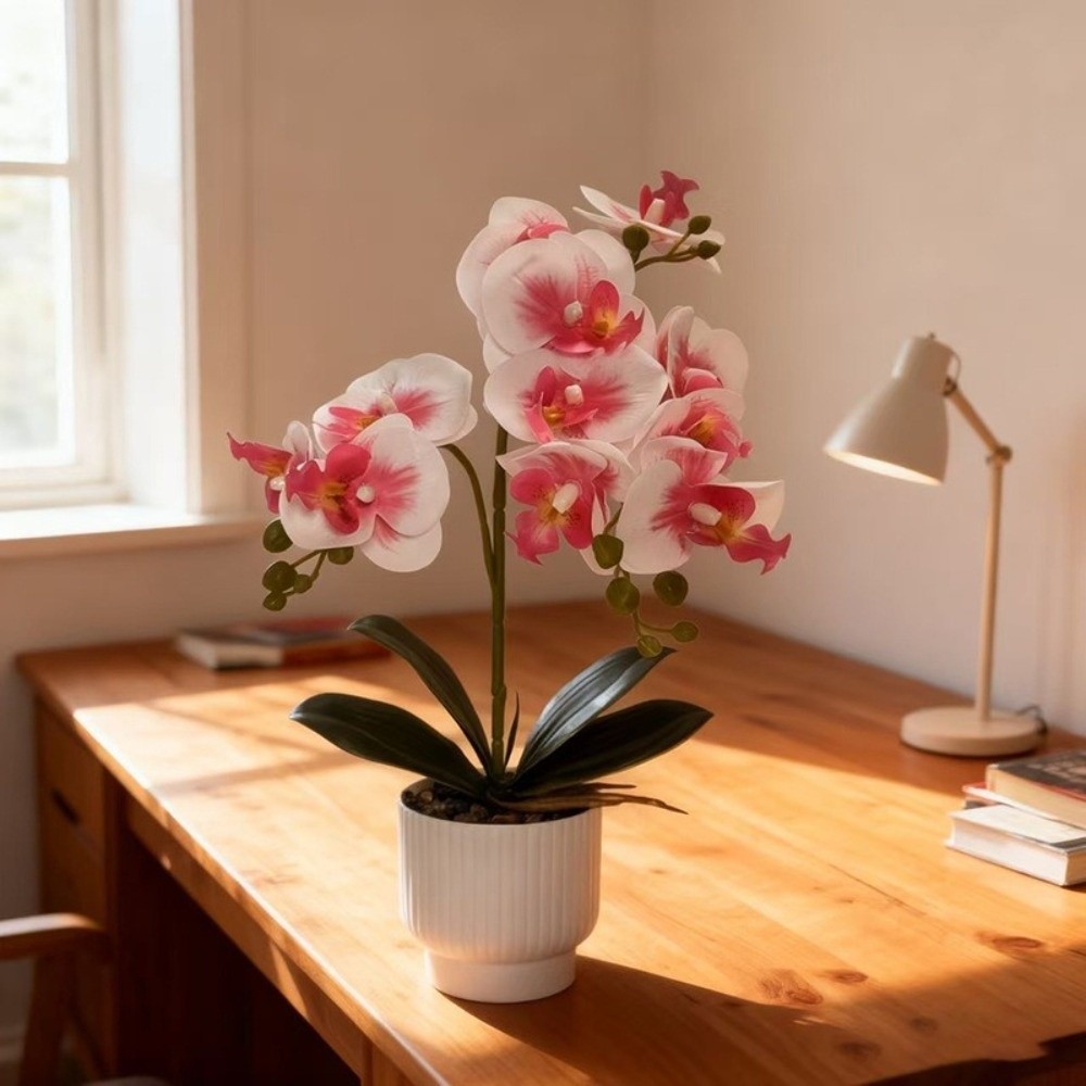 Multi-Bloom Simulated Butterfl - Orchid Phalaenopsis review and price