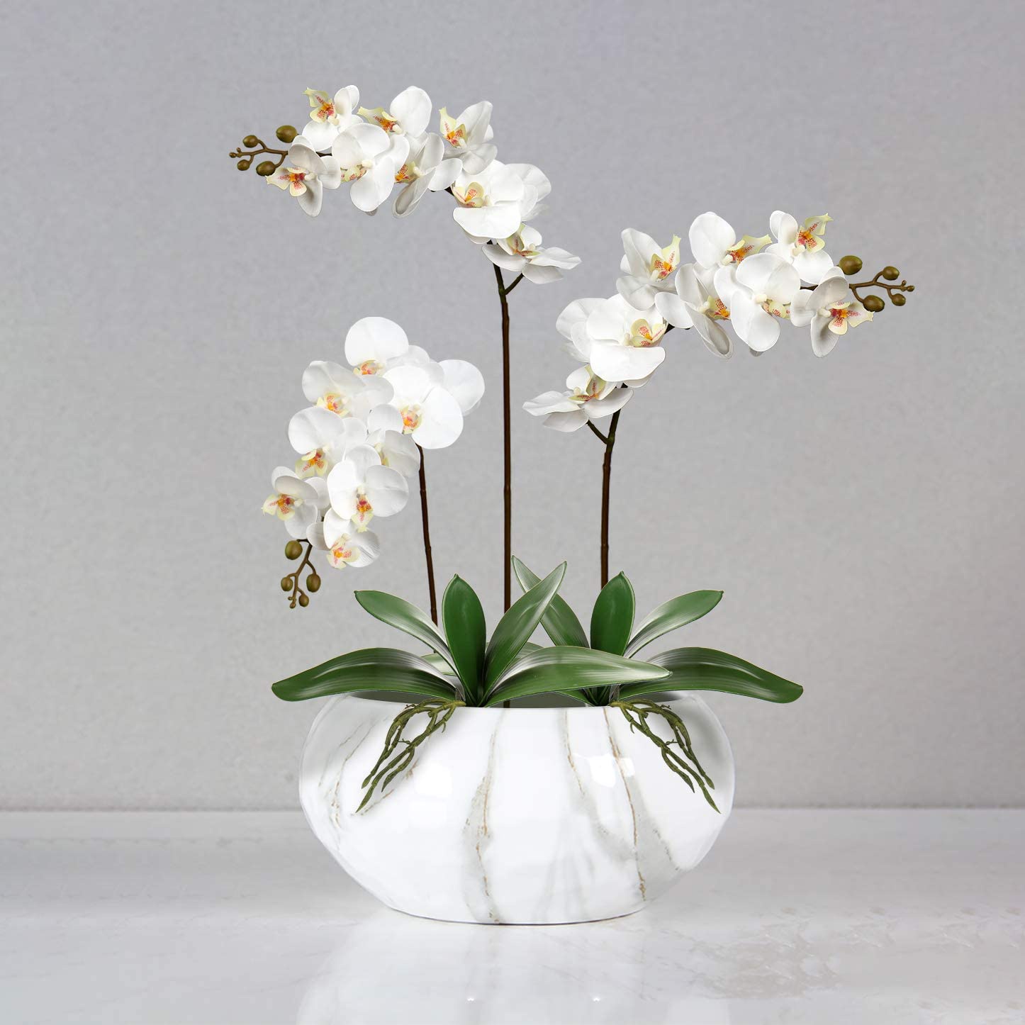 Artificial Phalaenopsis Leaves - Orchid Phalaenopsis review and price