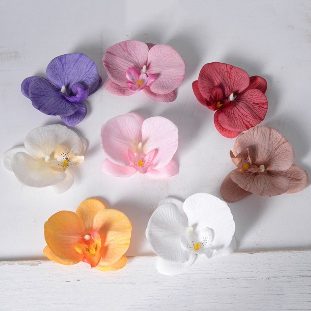 DIY Phalaenopsis Flower Head H - Orchid Phalaenopsis review and price