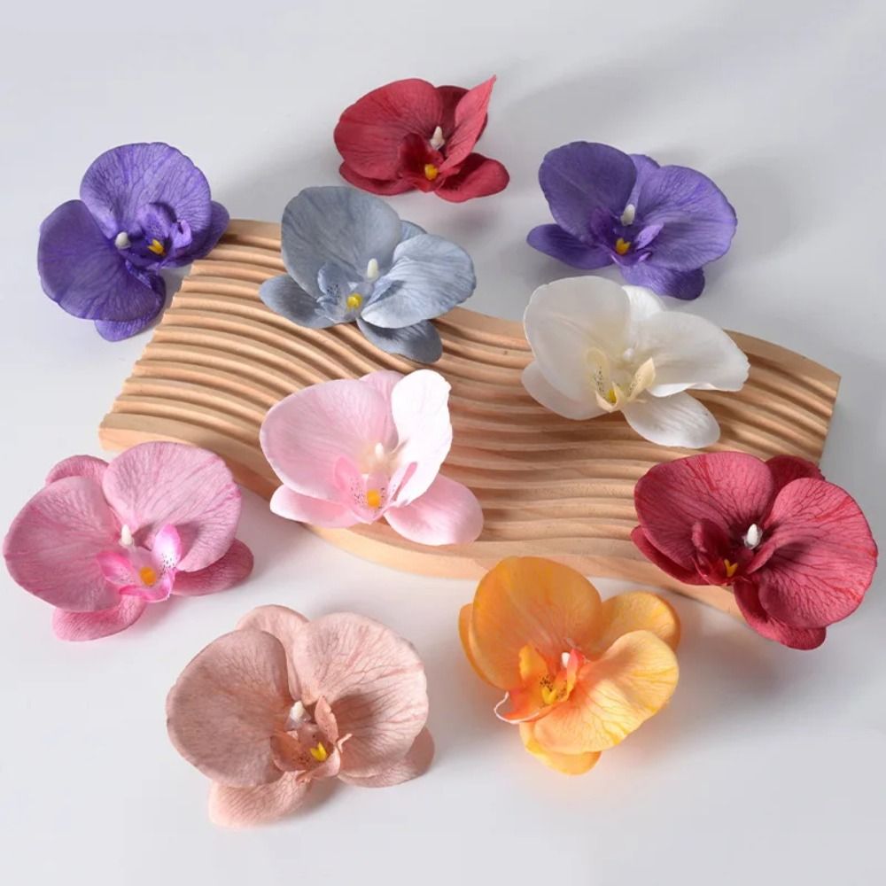 DIY Phalaenopsis Flower Head H - Orchid Phalaenopsis review and price