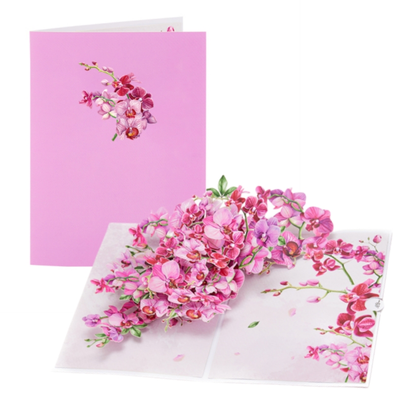 Cymbidium Orchids Pop-up Greet - Orchid Phalaenopsis review and price