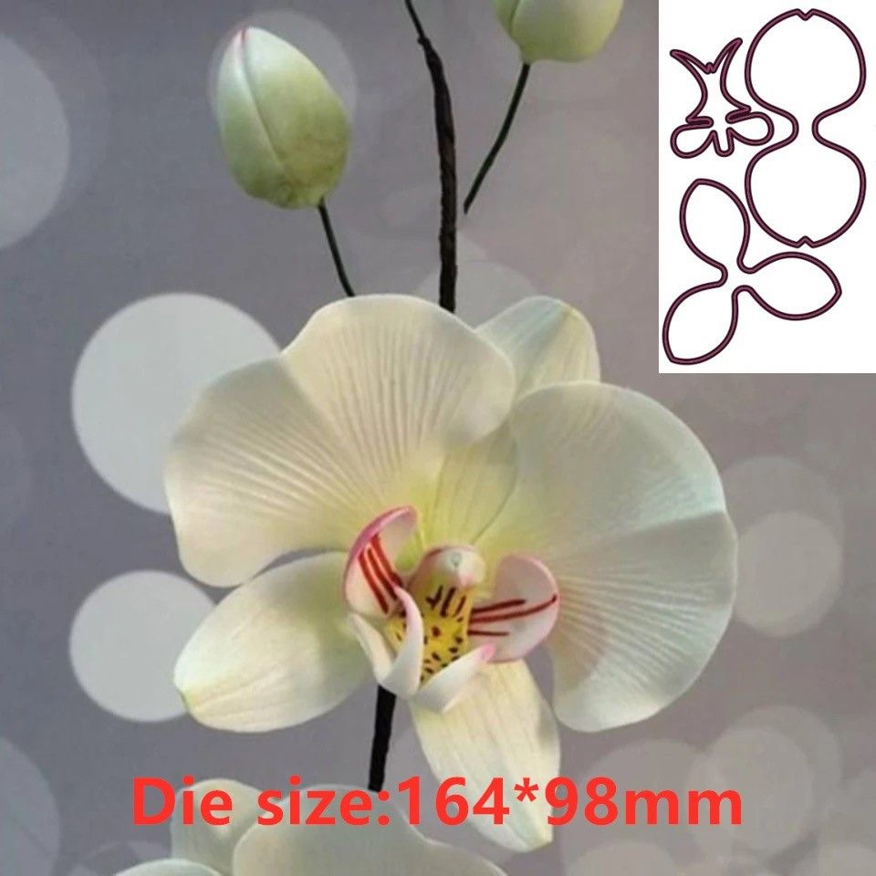 Orchid Flower Metal Cut Dies S - Orchid Phalaenopsis review and price