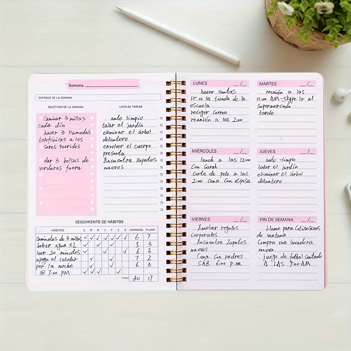 52 Week English Weekly Planner - Planned Parenthood review and price