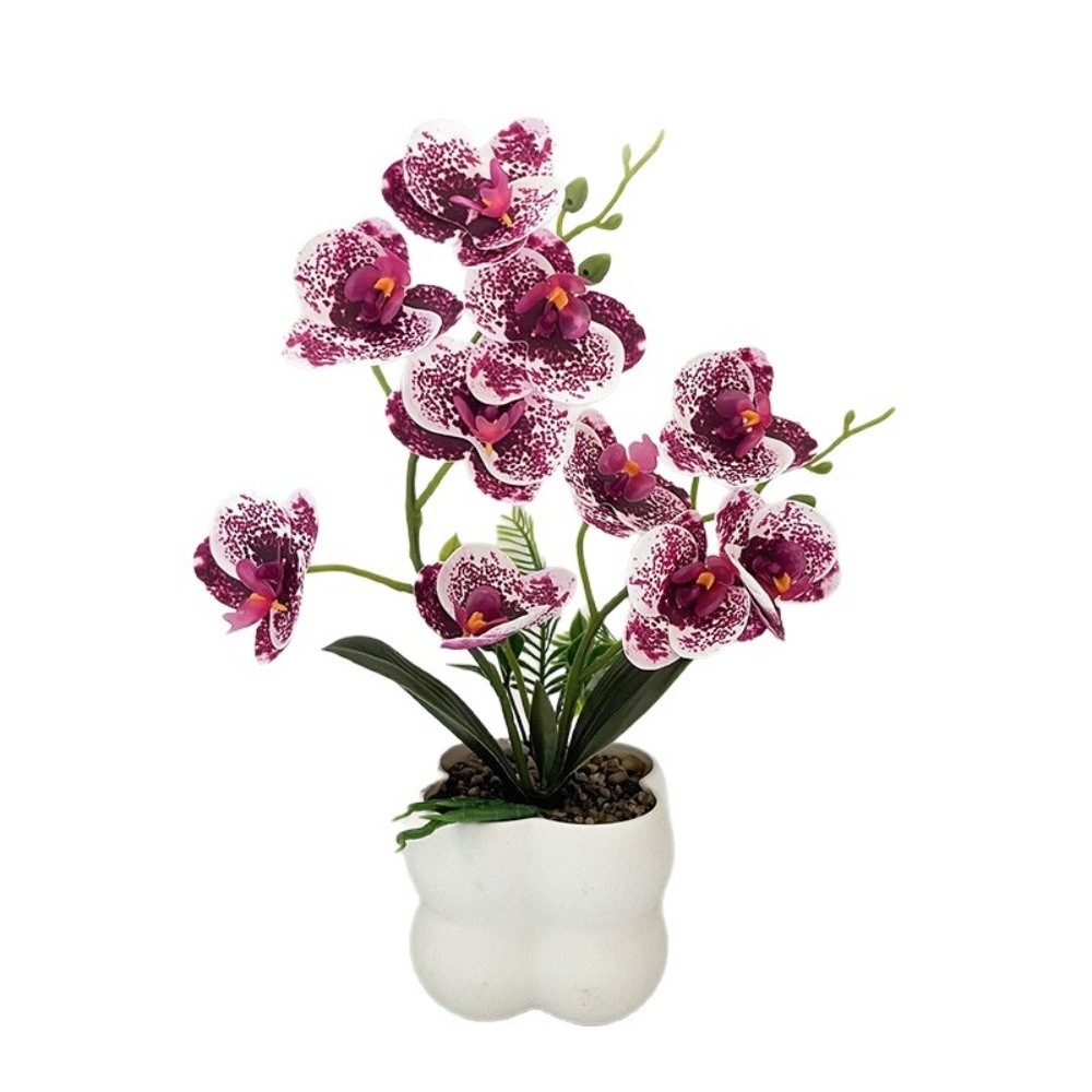 Multi-Bloom Simulated Butterfl - Orchid Phalaenopsis review and price