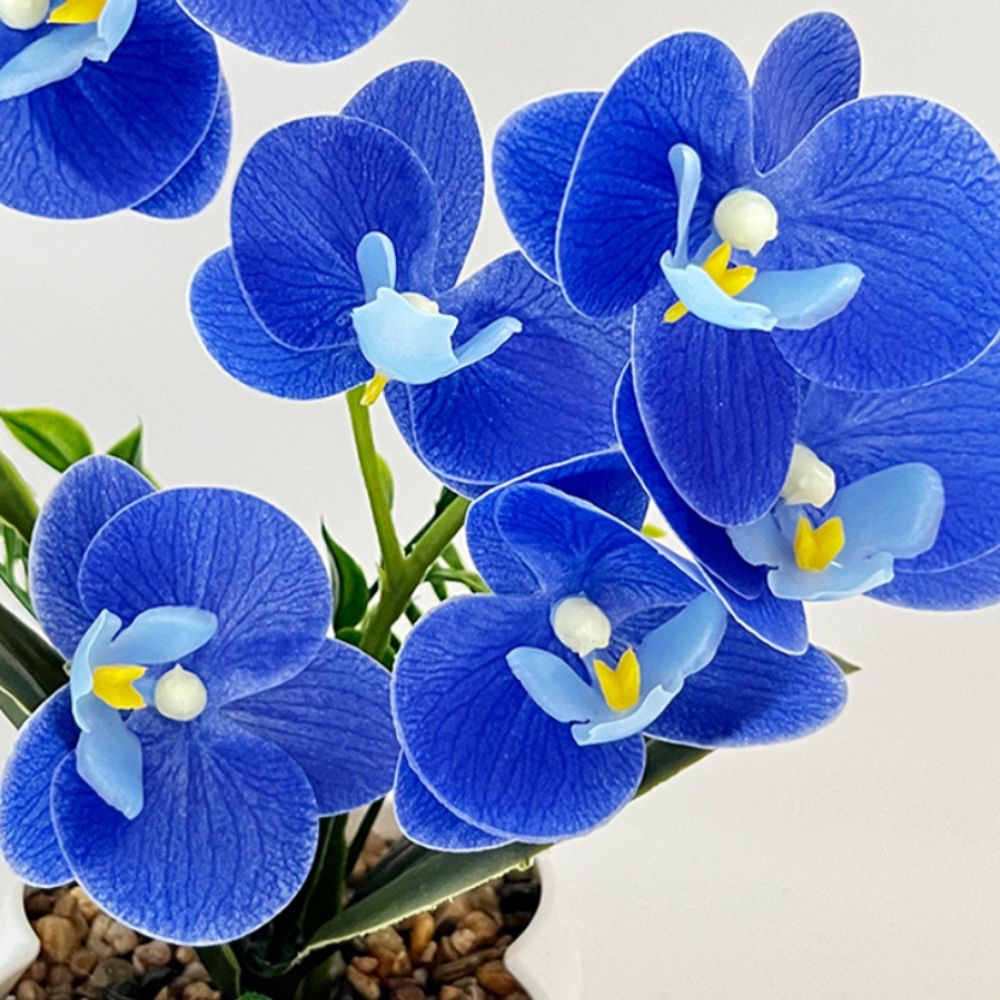 Multi-Bloom Simulated Butterfl - Orchid Phalaenopsis review and price