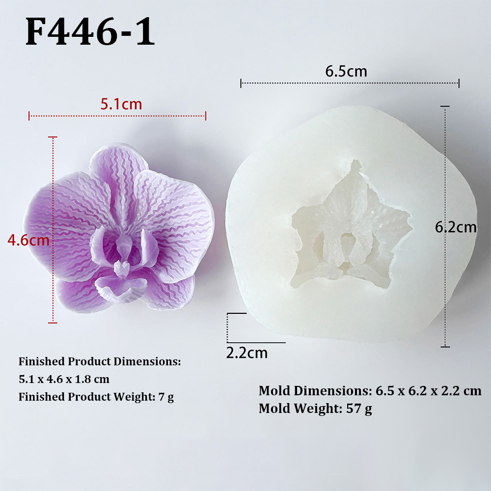 Phalaenopsis Orchid Flower-Sha - Orchid Phalaenopsis review and price