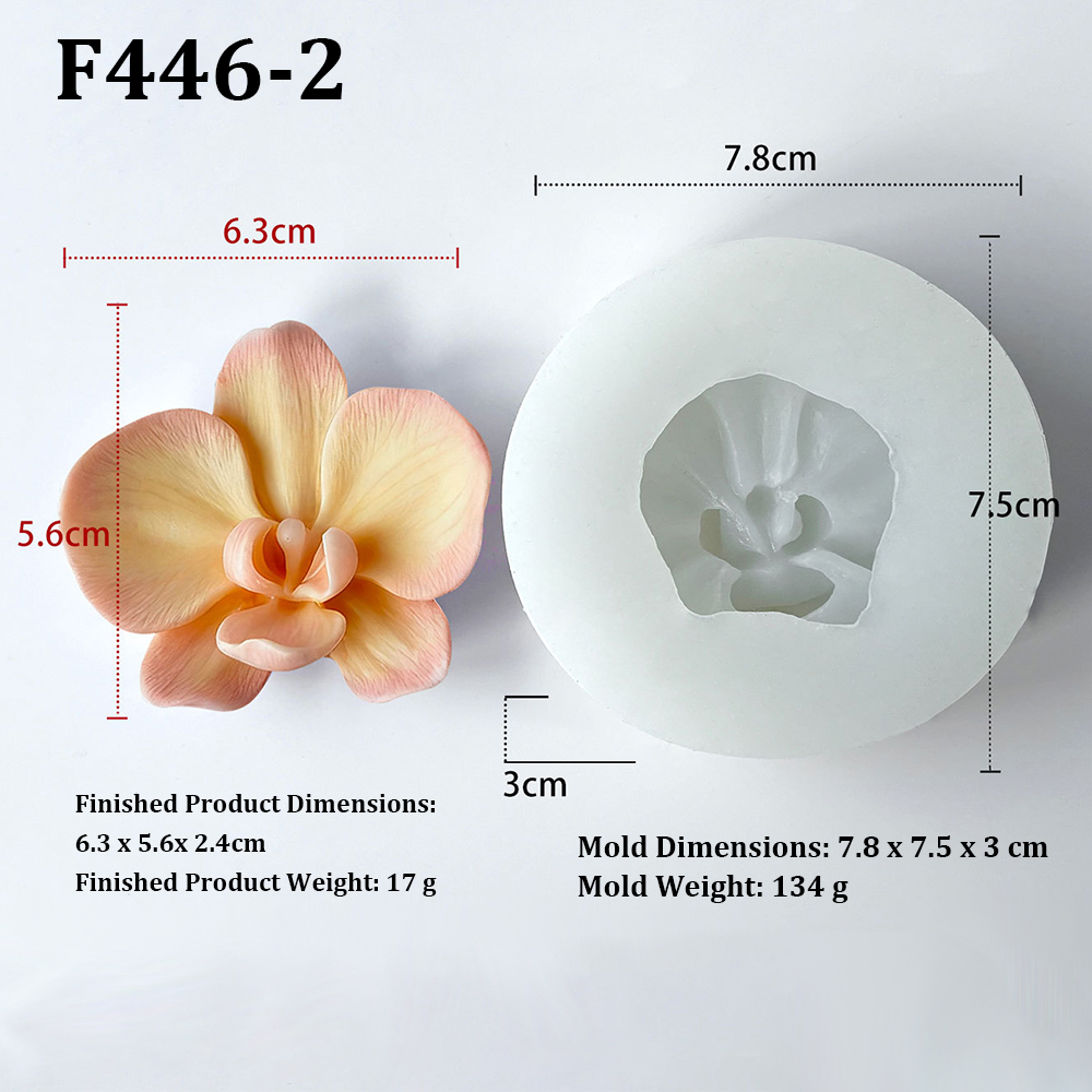 Phalaenopsis Orchid Flower-Sha - Orchid Phalaenopsis review and price